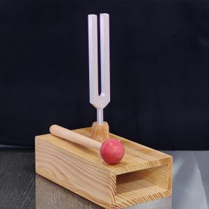 Resonance Box is a wooden Box with a Tuning Fork and a wooden hammer to study different frequencies of vibrations