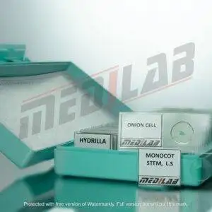 Prepared Microscope Slides