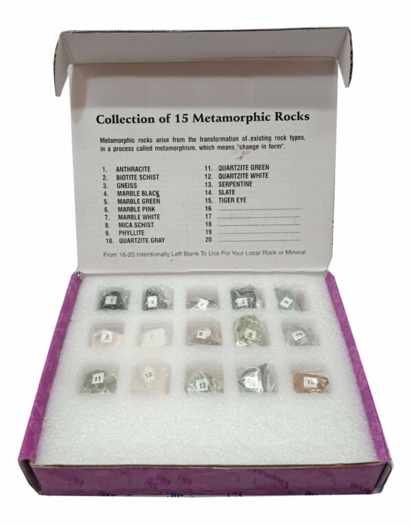Collection of 15 Metamorphic Rocks