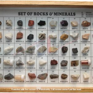 Collection of 50 Rocks & Minerals Polished Showcase