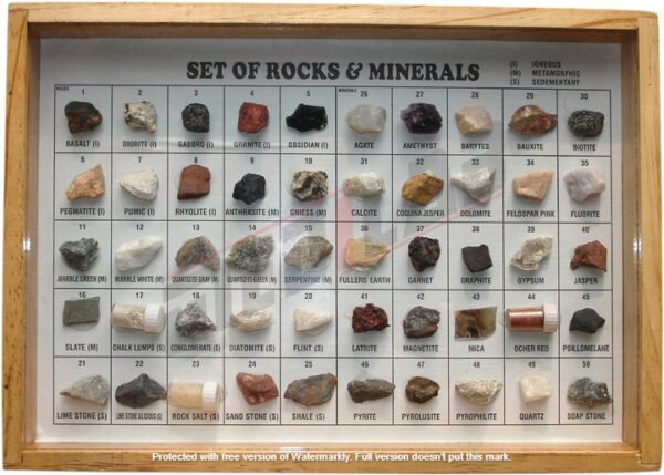 Collection of 50 Rocks & Minerals Polished Showcase