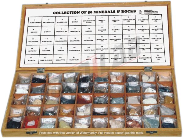 50 Rocks and Minerals in Wooden Box
