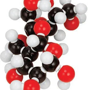 Molecular Model Set -Sucrose(C H O ), PS / PE