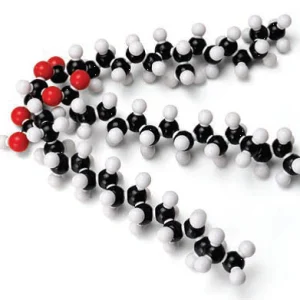 Molecular Model Set - Fat (Glyceryl Tristearate) (C H O ), PS / PE