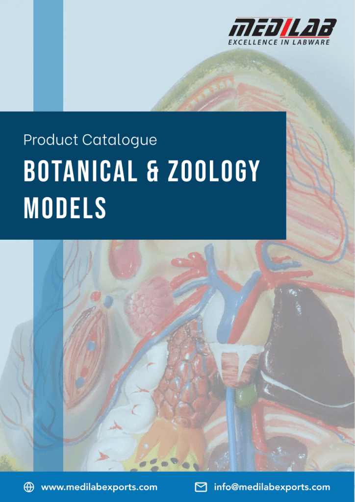 Botanical Model Catalog Cover